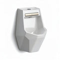 Wall-mounted ceramic urinal with dual flush mechanism and sleek design